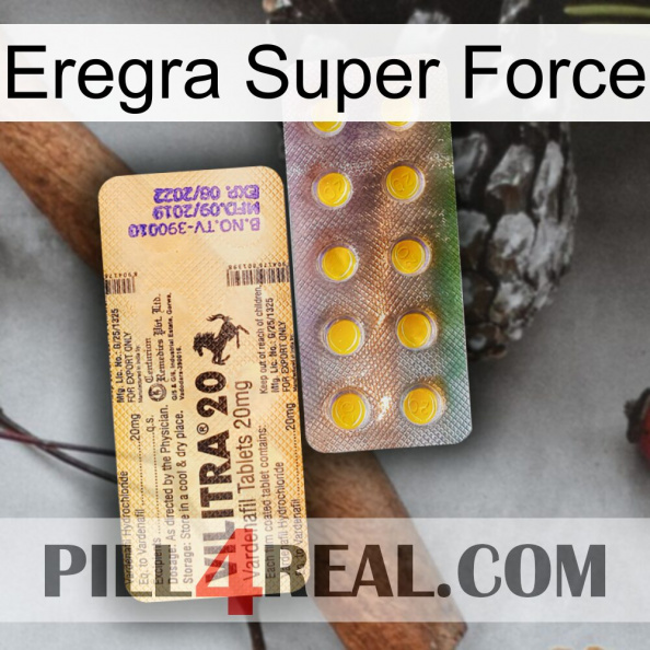 Eregra Super Force new06.jpg